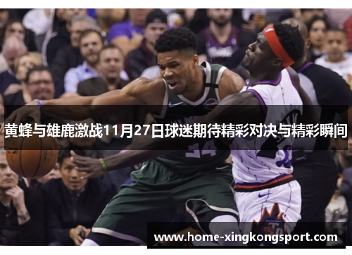 黄蜂与雄鹿激战11月27日球迷期待精彩对决与精彩瞬间
